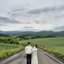 비에이(B/A) | [삿포로] 비 오는 날 비에이 투어 현실 후기 | 라벤더는 아직이지만 괜찮아! 2일차 -1