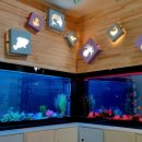 무주반디유치원 이미지