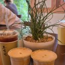 커피n빵