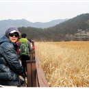애니텔2 모텔 | [2012 순천여행] 0301 두번째_ 순천만 자연 생태공원, 대원식당, 애니텔
