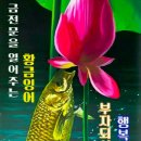 명심보감 이미지