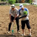 삼시세끼 - 고성군 | 삼시세끼