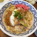 (직장인 식사시간) 제주 맛집 연동 코스모스 사거리 맛집 카메카츠(feat.재방문 후기!)