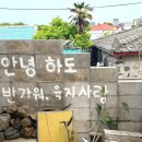 DSLR/폰카 쉽게 배우기 | 초보자 제주도서핑 도전하기, 라인업서프 하도에서 힐링하며 강습 받은 후기
