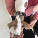 오파프부산 이미지