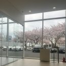 BMW iX3 M Sport 출고기