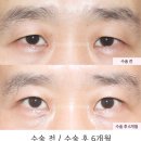 서연성형외과의원 이미지