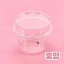 정담보틀