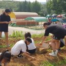 마산초등학교 이미지