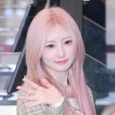 라미투어 이미지