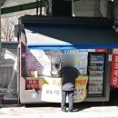버스토큰판매소