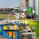 문무대왕릉 근처 가볼만한곳 한국원자력환경공단 코라디움 방문 체험 후기