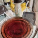 조이풀리 이미지