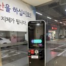 해가옥 | 분당 판교 족발 맛집 ‘해가옥’ 방문 후기
