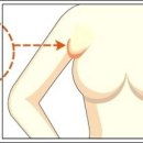 리나필라테스
