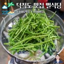 덕적도 맛집 소야도 식당 뻘식당 내돈내산 후기