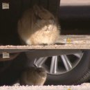 (주)자동차와 사람들 이미지