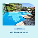 팜호텔상가건물 | 발리 가성비 숙소 팜가든호텔 직접 묵어본 솔직후기