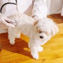 투게더 동물병원 이미지