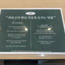 파울로빵집 이미지