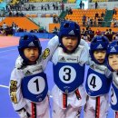 한국체대화랑태권도 이미지