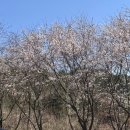 아이디 안경 동구점 | 내가 나로 살 수 있다면, 재가 된대도 좋아