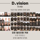 디비전 스칼프 이미지