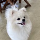 정성환동물병원 이미지