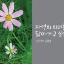 꽃뜰네