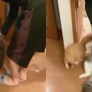 우다다 이미지