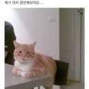 먹도리 이미지