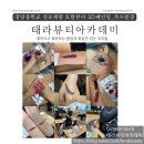 헤어토탈뷰티태라 이미지