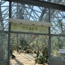 [제주] 제주 중문 아이랑 가볼만한곳 여미지식물원 후기
