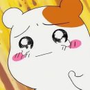 하이비치 펜션 이미지