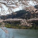지리산힐링마켓 이미지