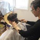 정자3동행정복지센터 이미지