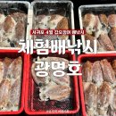 [공지] [서귀포배낚시] &#39;체험배낚시 광명호&#39; 여자 둘이 갑오징어 잡으러 간 후기