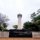 [6박7일 제주 허니문] 제주 신라호텔, 허니문의 성지