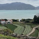 고사리맨션이 이미지