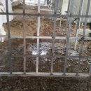 가가홀스 이미지