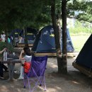 성동 서울숲 여름캠핑장 이미지