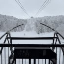 비지터 | 홋카이도 아사히다케 로프웨이 푸트코트 비지터 센터 꿀팁 방문 후기