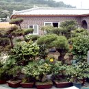 우림장민박 | 6시내고향 8294회 전남 신안 민박집 정보 (우이도 우림장 민박)