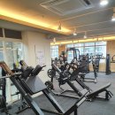 DYB GYM & QTP GYM 이미지