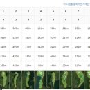 한림스크린골프 이미지