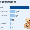 서울대동물종합병원 이미지