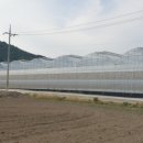 으뜸농장 2 이미지