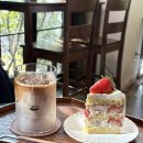 주정차단속-140 | 운양동 카페 추천｜잔잔한숲 운양점 두바이 쫀득쿠키 솔직후기 (내돈내산)