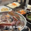 신선계곡주차장 | 용인맛집 1박2일 촬영지 고기리 계곡 해신호 애견동반 후기