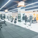 홈트 근력운동 이미지